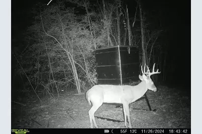 Tbd Upper Legget Road N, Livingston, TX 77351 - Photo 11