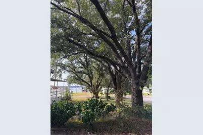 251 Ramp Way, Trinity, TX 75862 - Photo 17