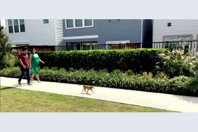 10931 Brambling Wood Drive, Houston, TX 77043 - Photo 35