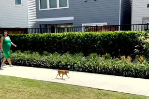 10931 Brambling Wood Dr, Houston, TX 77043 - Photo 35