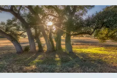 3748 Fm 1457, Round Top, TX 78954 - Photo 37