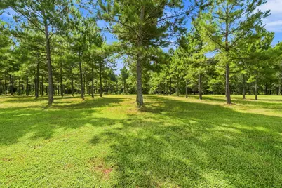 1383 Tram Road, Livingston, TX 77351 - Photo 41