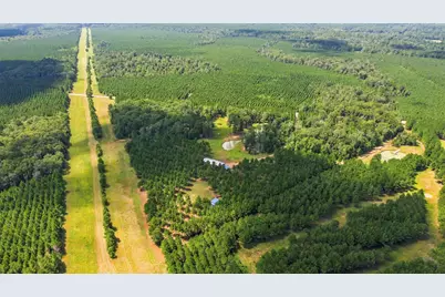 1383 Tram Road, Livingston, TX 77351 - Photo 45