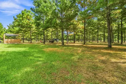 1383 Tram Road, Livingston, TX 77351 - Photo 33