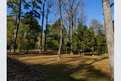 Tbd Acorn, Livingston, TX 77351 - Photo 7