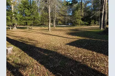Tbd Acorn, Livingston, TX 77351 - Photo 3