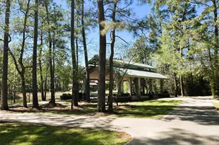 66 Fulshear Ct, The Woodlands, TX 77382 - Photo 27