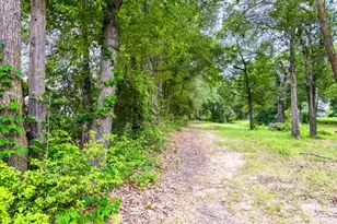 Tbd County Road 891, Jewett, TX 75846 - Photo 7