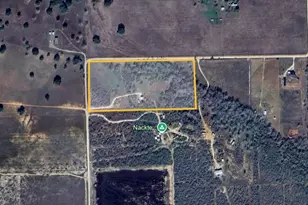 1655 County Rd 412, Stockdale, TX 78160 - Photo 9