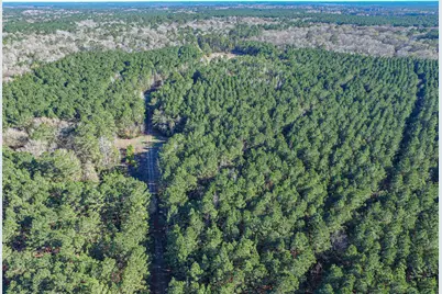 723 Mike Road, Livingston, TX 77351 - Photo 25