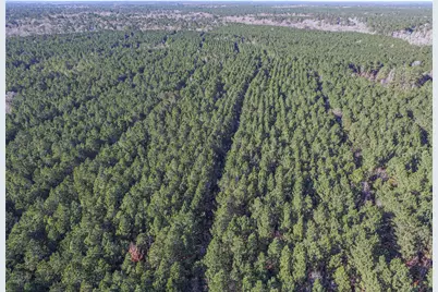 723 Mike Road, Livingston, TX 77351 - Photo 3