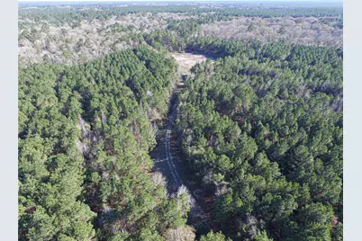 723 Mike Road, Livingston, TX 77351 - Photo 15