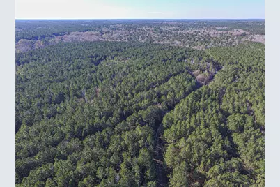 723 Mike Road, Livingston, TX 77351 - Photo 23