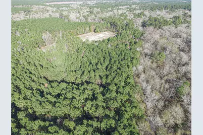 723 Mike Road, Livingston, TX 77351 - Photo 19