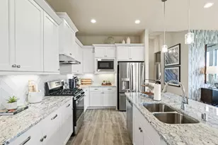 11238 White Crownbeard Dr, Cypress, TX 77433 - Photo 7