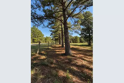 15633 Rustling Oak Lane, Plantersville, TX 77363 - Photo 11
