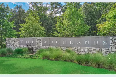 170 N Hazelcrest Circle, The Woodlands, TX 77382 - Photo 49