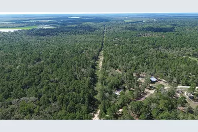 1336 Darrel Hall Drive, Trinity, TX 75862 - Photo 9
