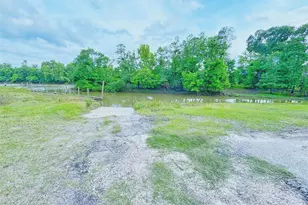 8 River Dr, Trinity, TX 75862 - Photo 31