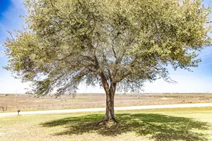 985 Co Rd 301, Shiner, TX 77984 - Photo 29