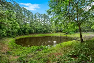 6071 County Rd 448, Navasota, TX 77868 - Photo 5