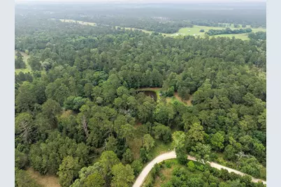 6071 County Road 448, Navasota, TX 77868 - Photo 29