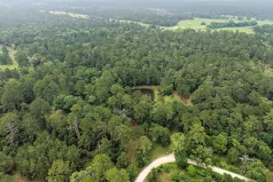 6071 County Rd 448, Navasota, TX 77868 - Photo 29