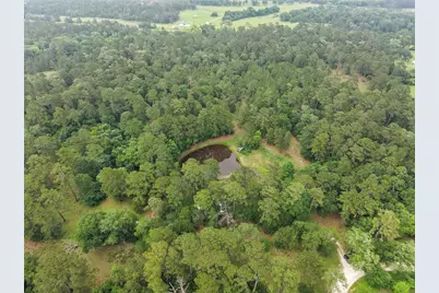 6071 County Road 448, Navasota, TX 77868 - Photo 31