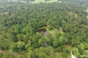 6071 County Rd 448, Navasota, TX 77868 - Photo 31