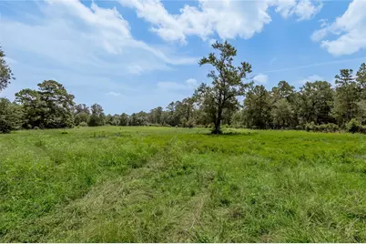 248 Obannon Ranch Road, Huntsville, TX 77320 - Photo 45