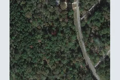 0 Chris Brent Drive, Livingston, TX 77351 - Photo 5