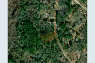 0 Chris Brent Drive, Livingston, TX 77351 - Photo 3