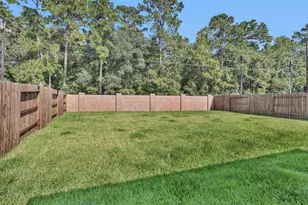 10009 Bigfoot Wallace Dr, Montgomery, TX 77316 - Photo 27