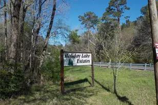 400 Driftwood Dr, Goodrich, TX 77335 - Photo 23