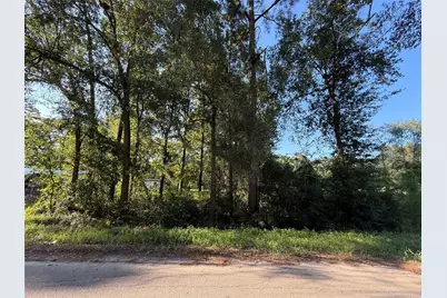 00 Spanish Oaks Dr, New Caney, TX 77357 - Photo 1