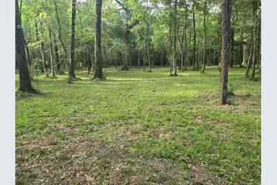 00 Tbd Hwy 150 W, Coldspring, TX 77331 - Photo 15