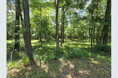 00 Tbd Hwy 150 W, Coldspring, TX 77331 - Photo 9