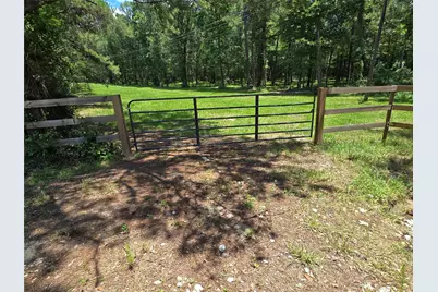 00 Tbd Hwy 150 W, Coldspring, TX 77331 - Photo 7