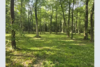 00 Tbd Hwy 150 W, Coldspring, TX 77331 - Photo 1