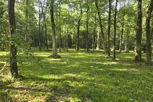 00 Tbd Hwy 150 W, Coldspring, TX 77331 - Photo 1