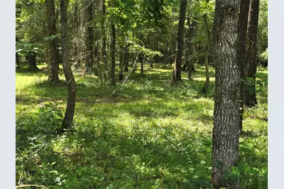 00 Tbd Hwy 150 W, Coldspring, TX 77331 - Photo 5