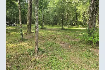 00 Tbd Hwy 150 W, Coldspring, TX 77331 - Photo 3