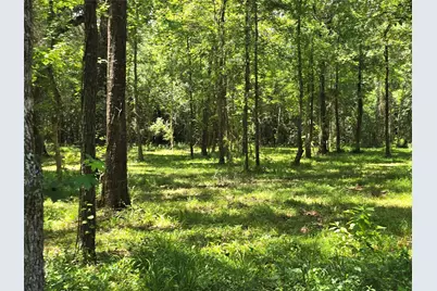 00 Tbd Hwy 150 W, Coldspring, TX 77331 - Photo 3