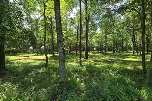 00 Tbd Hwy 150 W, Coldspring, TX 77331 - Photo 1