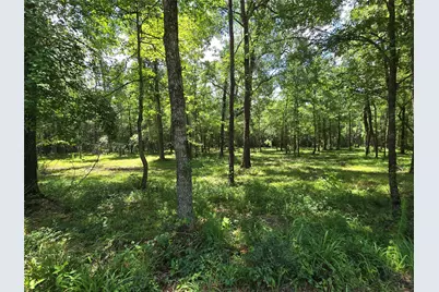 00 Tbd Hwy 150 W, Coldspring, TX 77331 - Photo 5