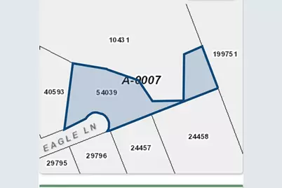 Tbd Eagle Lane, Livingston, TX 77351 - Photo 5