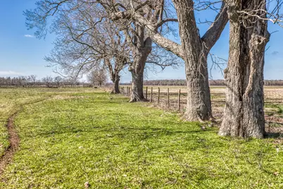 0000 Steck Bottom Road, Sealy, TX 77474 - Photo 9