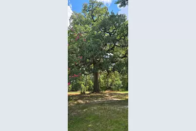 2266 Young Road, Livingston, TX 77351 - Photo 19