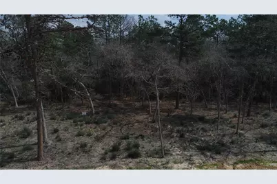 Tr33 Pr 1314, Centerville, TX 75833 - Photo 9