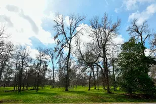 15827 Oleta Ln, Sugar Land, TX 77498 - Photo 1